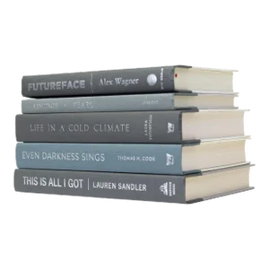 Decorative Books - Slate Book Stack - 5 Grey Books
