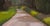 Contemporary Idaho Road by Samantha Buller | Oil on Arches paper mounted on cradled panel winding rural road scene For Sale - Image 3 of 5