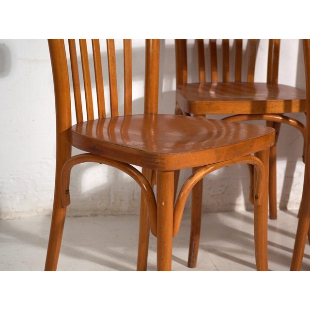 Chairs in Ligna Bentwood, Former Czechoslovakia, 1960, Set of 4 For Sale - Image 4 of 12