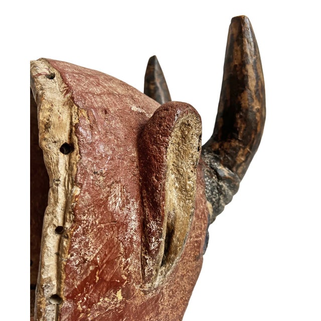 Early 20th Century Antique Mangbetu Buffalo Mask For Sale - Image 5 of 12