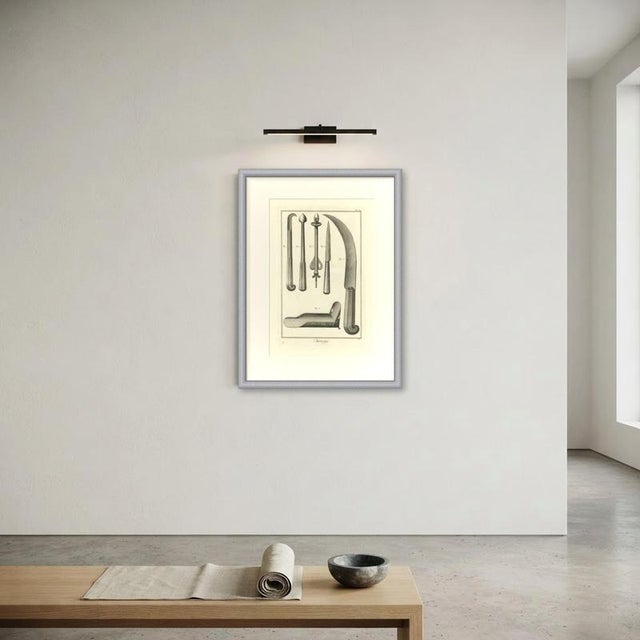 Antonio Baratti, Hooked Instrument and Sickle Knife, Diderot Chirurgie Plate Xx, 1772, Engraving For Sale - Image 6 of 8