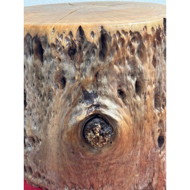 Brown Organic Modern Live Edge Tree Side Table/ Stool For Sale - Image 8 of 12