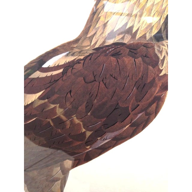 Brown Eagle of Thebes, Large Hand-Colored Engraving From Napoleon’s Description De L’Égypte For Sale - Image 8 of 10