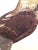 Brown Eagle of Thebes, Large Hand-Colored Engraving From Napoleon’s Description De L’Égypte For Sale - Image 8 of 10