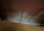 1980s Ethan Allen Banded Mahogany Clawfoot Dining Table + 4 Chairs For Sale - Image 10 of 17