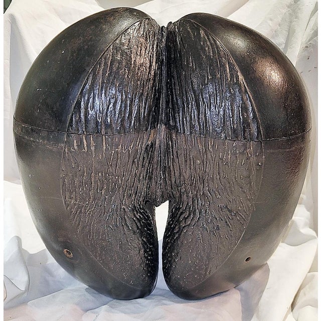 Rustic Coco De Mer Lodocia Nut, 19c Carved For Sale - Image 3 of 13