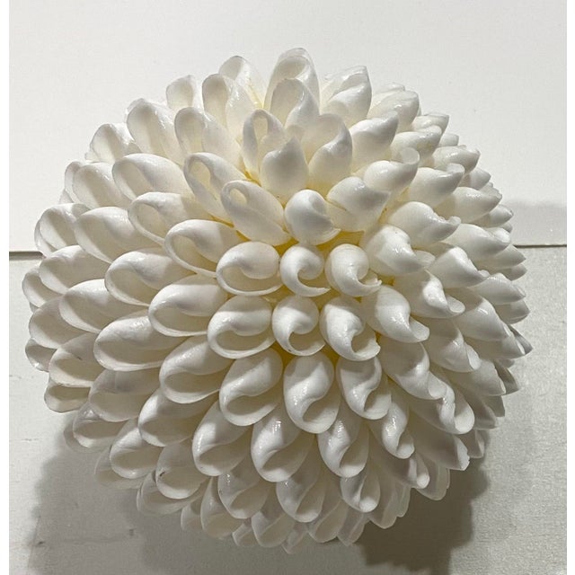 Vintage White Sea Shell Decorative Ball 4.75” Width, side to side Part of a Rare Old Stock Find From a Cache of Shell...