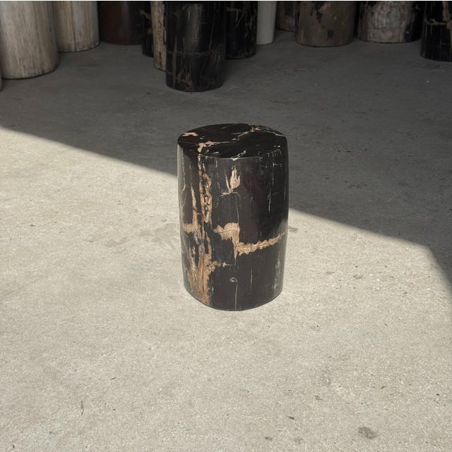 Black Small Side Table in Black Petrified Wood with Striates and Beige Lower Side For Sale - Image 8 of 18