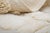Contemporary Raised Organic Embossed Hand-Knotted Wool Rug | 11'2" X 6'11" | One of a Kind For Sale - Image 3 of 10