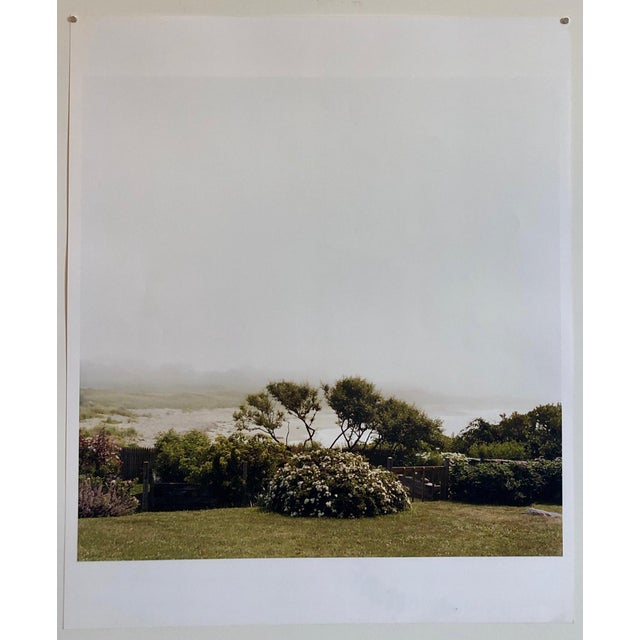 2000 - 2009 Peter C. Jones 1, Wild Roses, Large Format Photo 24X20 Color Photograph Beach House, 2004 For Sale - Image 5 of 5