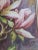 Paint Vintage Original Budding Pink Lily Flower Still Life Watercolor Painting For Sale - Image 7 of 8