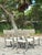 Elevate your dining experience with this stunning set of four Klismos chairs by high-end designer Oly Studio! Offering a...