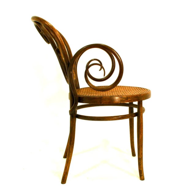 Art Nouveau Mid 20th Century Bentwood Arm Chair With Caned Seat by Salvatore Leone For Sale - Image 3 of 8