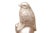 House Finch Brass Door Knocker For Sale - Image 4 of 6