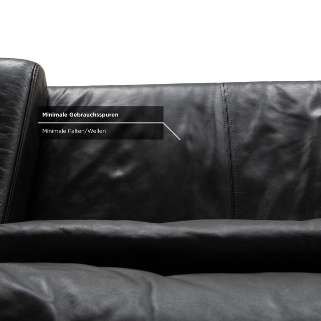 Harry Two-Seater Sofa in Leather and Chrome by Ewald Schillig For Sale - Image 11 of 17