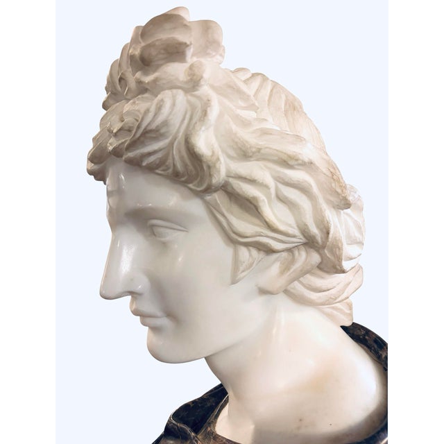 Stone Late 20th Century Monumental Apollo Belvedere Marble Bust on Veined Carrara Marble Pedestal For Sale - Image 7 of 12