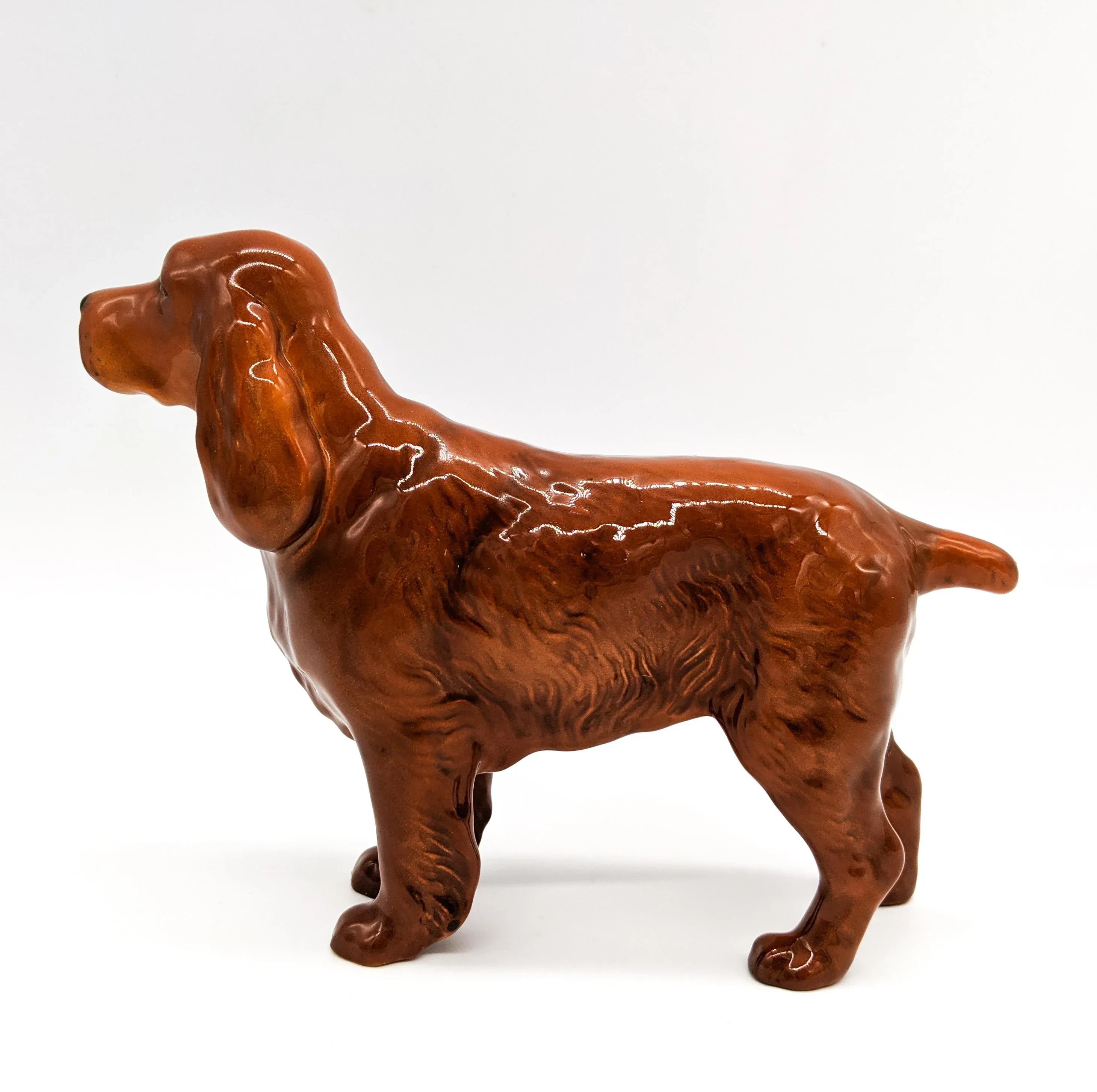 red cocker spaniel for sale