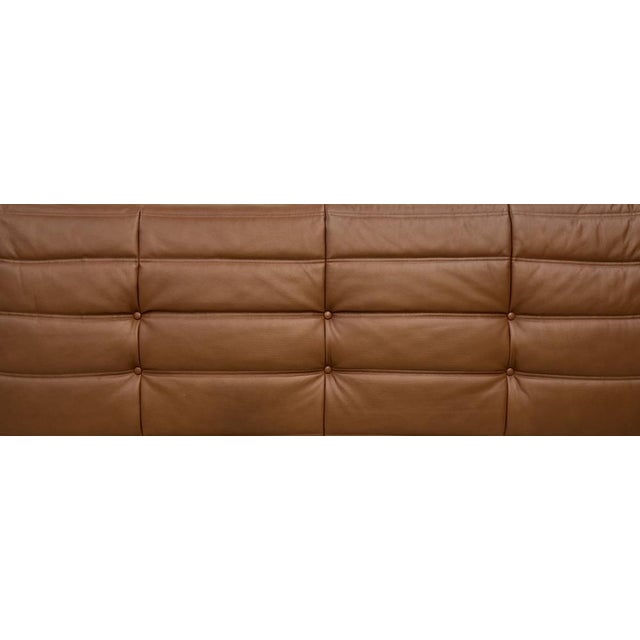 Togos Michel Ducaroy for Ligne Roset, Set of 3 For Sale - Image 16 of 18