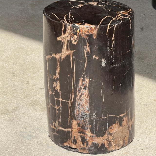 Small Side Table in Black Petrified Wood with Beige Striations For Sale - Image 16 of 18