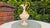 Porcelain Pitcher by G. Gallichani, Italy, 1950s For Sale - Image 10 of 11