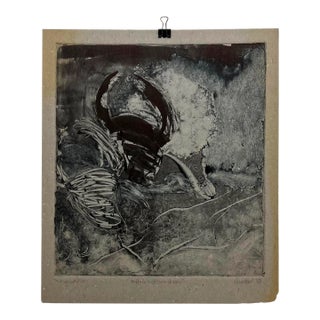 Art by Gina Kail 1998 Buffalo Metamorphosis 2:6 Monoprint For Sale