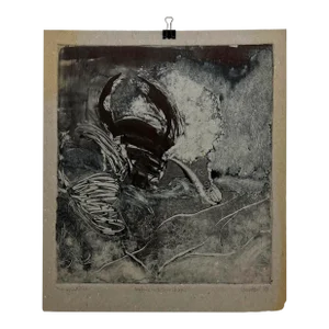 Art by Gina Kail 1998 Buffalo Metamorphosis 2:6 Monoprint