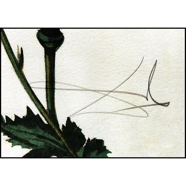 Transitional Mid 20th Century Autumn, Salvador Dalí For Sale - Image 3 of 5