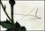 Transitional Mid 20th Century Autumn, Salvador Dalí For Sale - Image 3 of 5