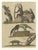 Brown Bertuch, Monkeys & South American Anteaters, 1800, Engraving For Sale - Image 8 of 10