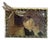 Jay Strongwater Jeweled Dragonfly 4” X 6” Picture Frame With Swarovski Crystals For Sale