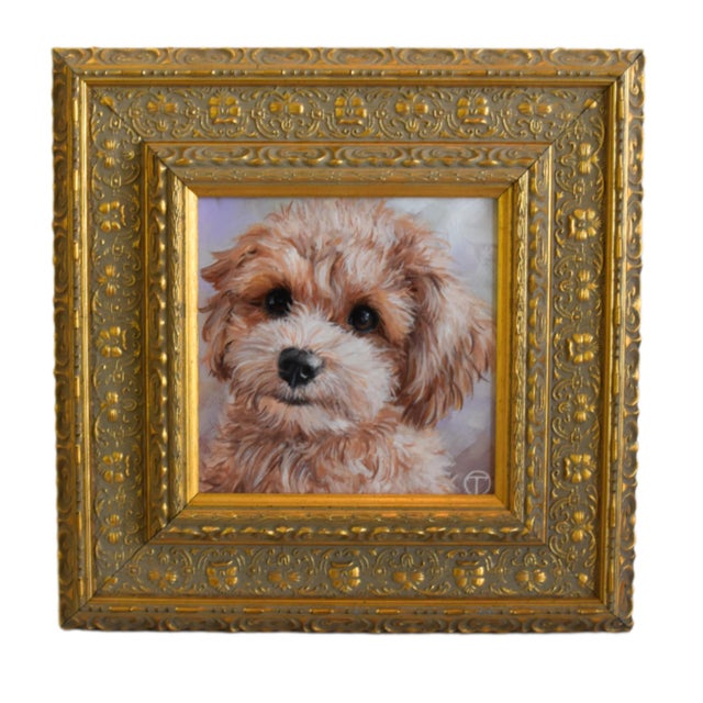 American Maltipoo Puppy Dog Pet Portrait Painting Including Antiqued Museum Quality Gold Frame For Sale - Image 3 of 7