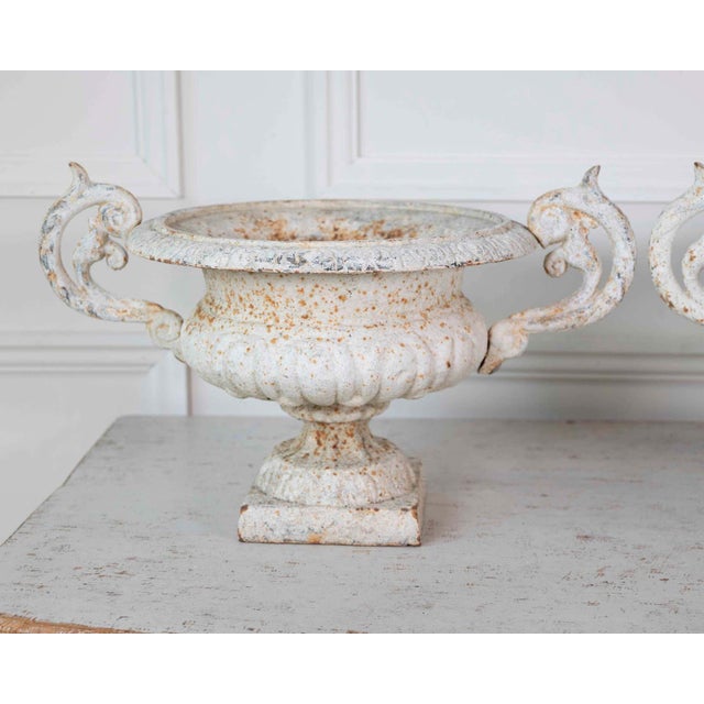 Pair of English 19th Century Cast-Iron Garden Urns For Sale In Atlanta - Image 6 of 13