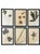 French Provincial 1965 French Herbarium Botanical Specimens – Set of 6 Custom Framed Pressed Botanicals For Sale - Image 3 of 15