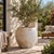 Rustic Early 20th Century Large Clay Planter For Sale - Image 3 of 5
