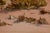 American "Monument Valley Arizona" - Desert Landscape by Albert DeRome For Sale - Image 3 of 9