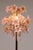 Murano Pink Lilly Floorlamp Murano Glass and Gilt Brass by Franco Luce, 1970 For Sale - Image 4 of 13