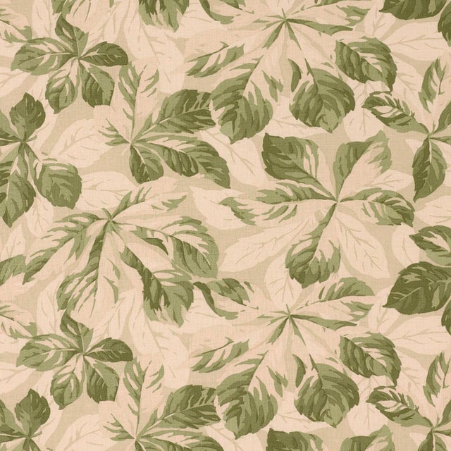 Schumacher Arboreal Fabric In Sage For Sale