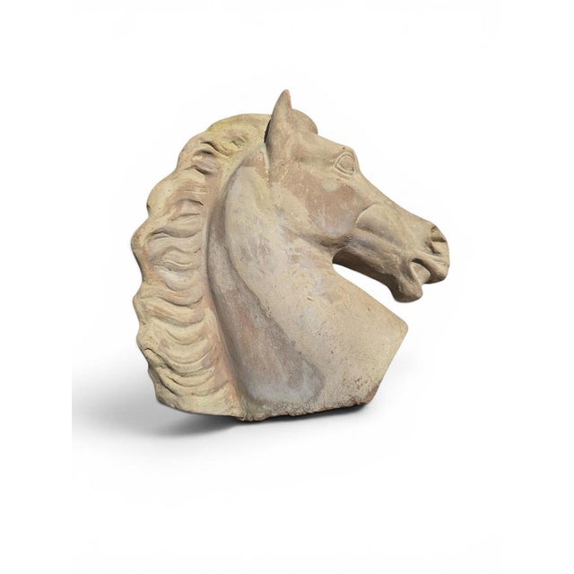 Greek Horse Head Sculpture in Terracotta, Italy, 1950 For Sale - Image 4 of 7