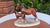 Brown Porcelain Horse Figurine from Hertwig & Co., 1950s For Sale - Image 8 of 8