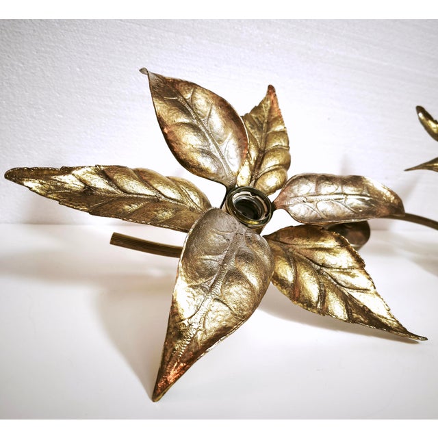 Vintage Brass Flower Wall Lamp by Willy Daro for Massive, Belgium, 1970s For Sale - Image 16 of 18