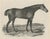 Maxim Gauci, Sharke Thoroughbred Horse Portrait, Lithograph, 1840 For Sale - Image 9 of 9