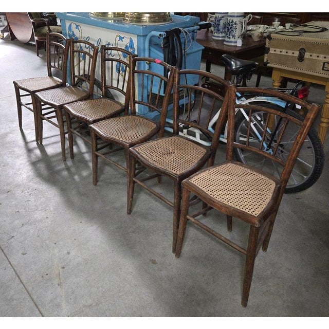 Wood 19th Century Napoleon Bentwood Chairs, Set of 6 For Sale - Image 7 of 9