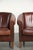 Sheepskin Club Armchairs in Dark Cognac, Set of 2 For Sale - Image 10 of 15