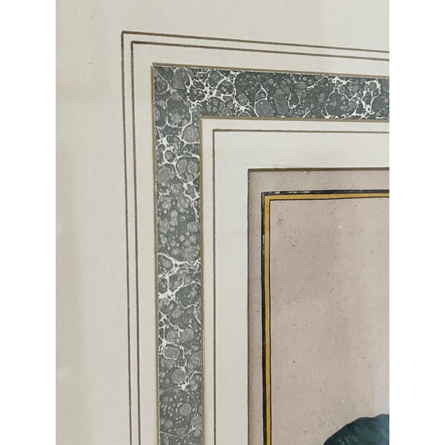 Printmaking Materials Pair of Johann Christoph Volckamer, Nurenberg Botanical Hand Colored Lithographs in Custom Frames For Sale - Image 7 of 8