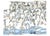 Offered is an Anthropologie Chloe Wall Mural, a large-scale nature-inspired wall-covering. featuring lush botanical...