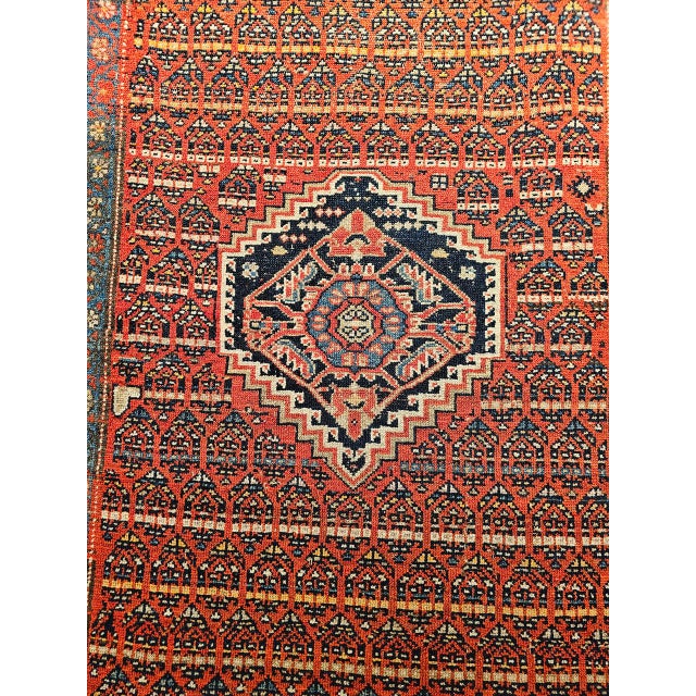1900 - 1909 Vintage Persian Kurdish Bidjar Wide Runner Rug, Hand-Knotted Wool, Paisley Pattern, Terracotta & Blue, 4x11 For Sale - Image 5 of 12