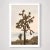 This stunning view of Joshua Tree is set against a soft pink and peach sky. Unframed archival photograph on 100% cotton...