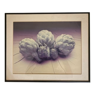 Late 20th Century Framed Artichoke Trio Photograph For Sale
