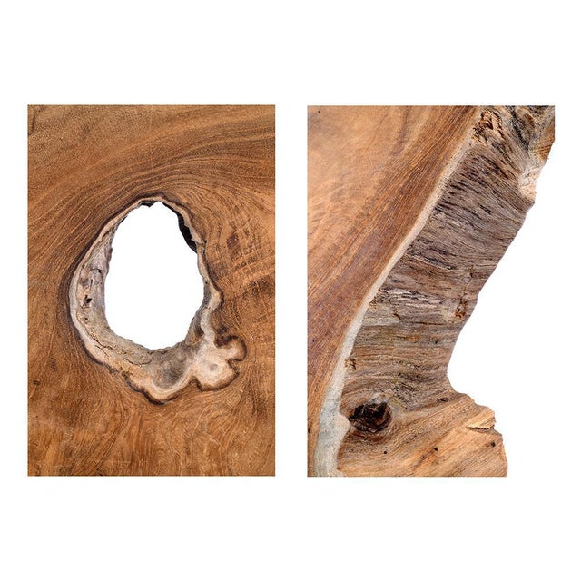 Framed Slice of Teak For Sale - Image 3 of 8