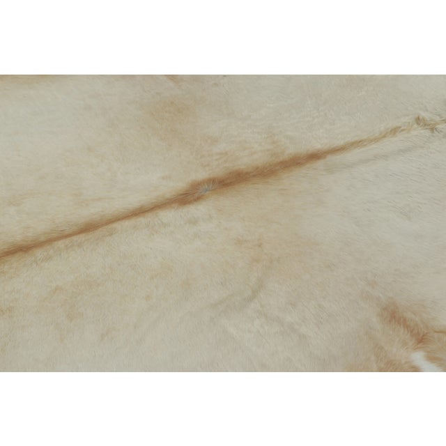 2020s Rug & Kilim’s Contemporary Cowhide Rug in Warm Beige & Brown Accents For Sale - Image 5 of 9
